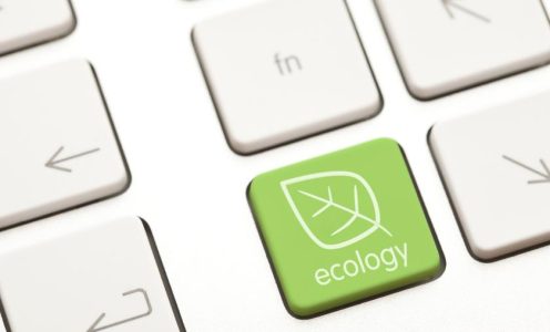 Invest in Eco-friendly Technology