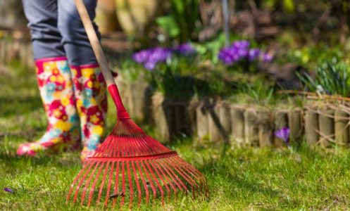 Keeps your garden clean