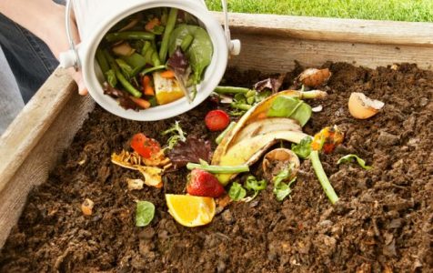 Try composting