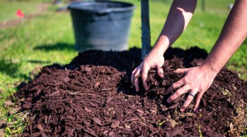Compost It Yourself