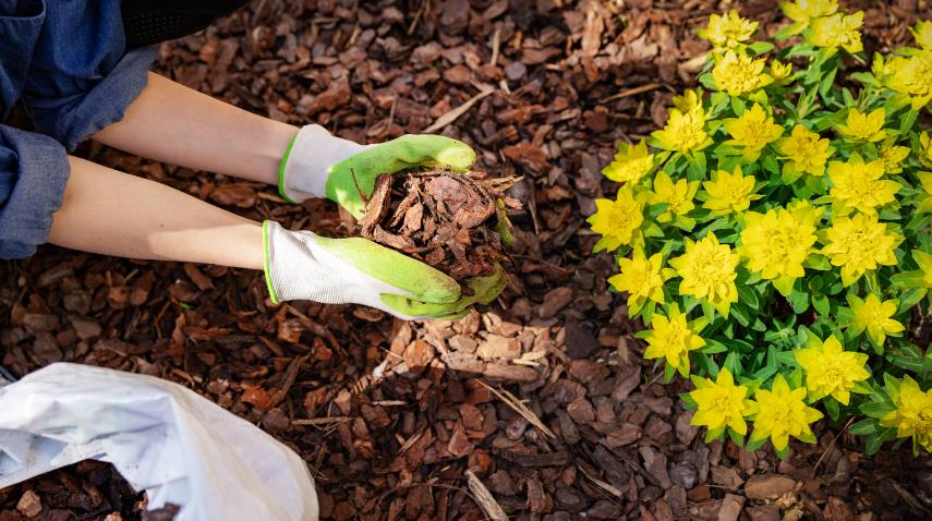 How To Get Rid of Old Mulch