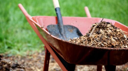 Recycle It Through Local Programs