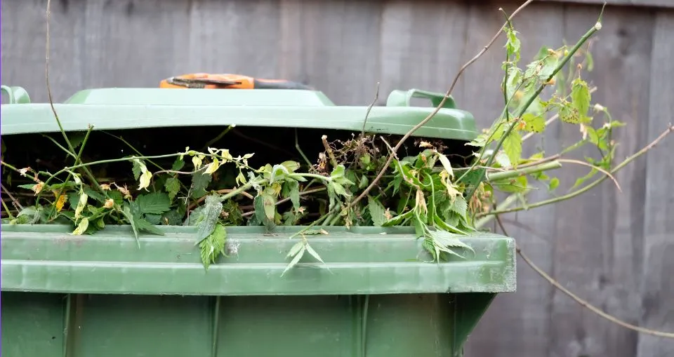 Can You Put Garden Waste in a Skip